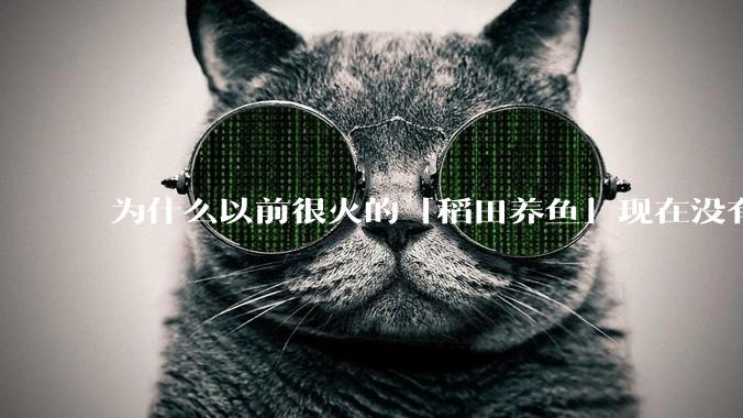 为什么以前很火的「稻田养鱼」现在没有农民愿意干了?